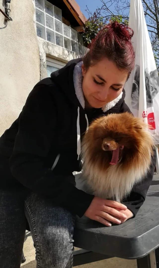 Chien et chat